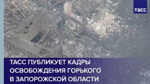 ТАСС публикует кадры освобождения Горького в Запорожской области