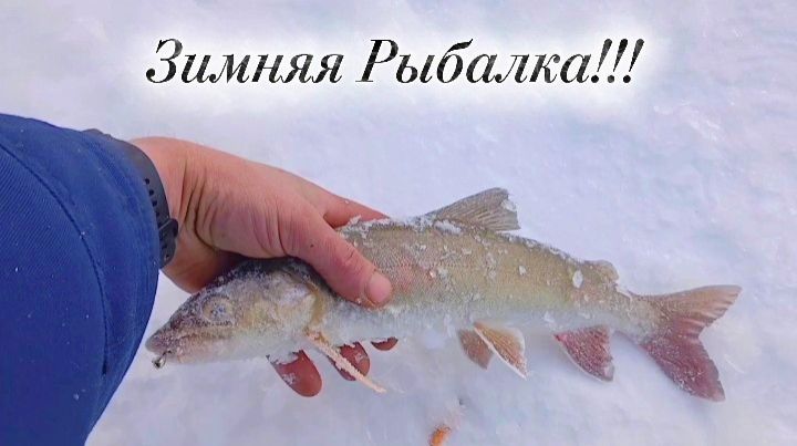 Зимняя Рыбалка на Хариуса и Ленка! На Новых ну Старых!!! Вторая серия. смотреть онлайн