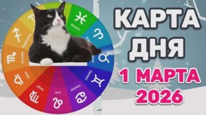 "КАРТА ДНЯ" на 1 МАРТА 2026 года (карты ТАРО)!!!