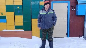 28 февраля 2026 года пасека зимует