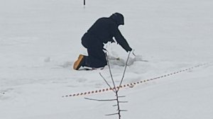 VID_20260228_122751_484