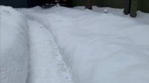 Снежная зима 25-26 года.Для истории