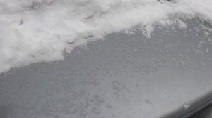 Мопеды сериал | Серия 1876