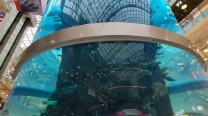 Мурена Настя в Авиапарке