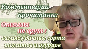Итоги анализа комментариев// лучшие сорта томатов и огурцов