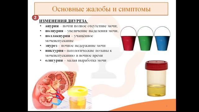 Лекция 9.1. Заболевания органов мочевыделительной системы смотреть онлайн