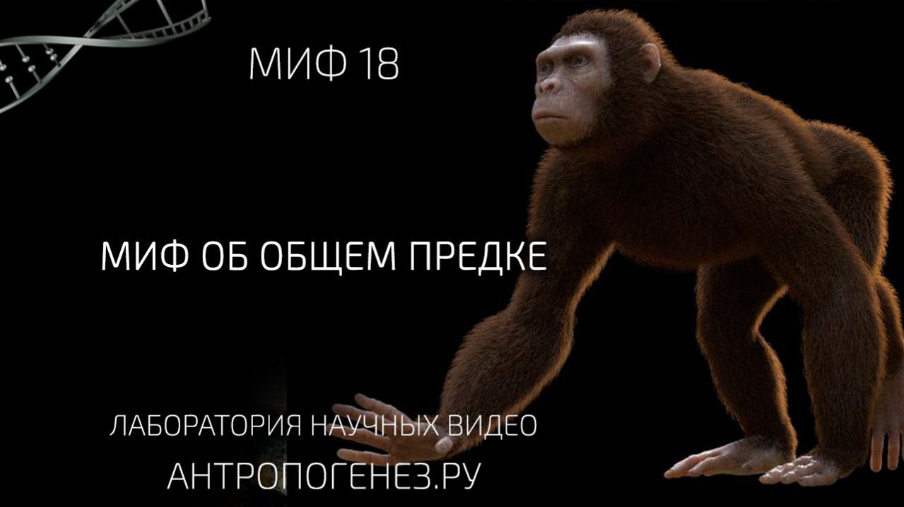 Миф об общем предке. Мифы об эволюции человека смотреть онлайн