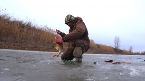 ОНО ЛОМАЕТ МОРМЫШКИ... УДОЧКИ УЕЗЖАЮТ В ЛУНКУ!!! ЗИМНЯЯ РЫБАЛКА - САЗАН, КАРАСЬ, ЛЕЩ, ГУСТЕРА