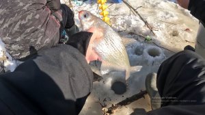 РЫБАЛКА НА МОРМЫШКУ зимой 2026