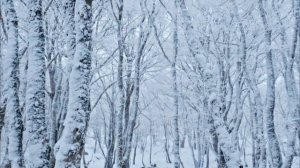 Положите это в кошелёк 28 февраля. И деньги придут.