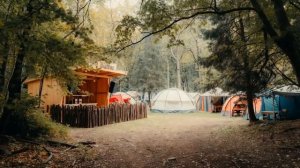 Open Air Nostalgia 🌲 — Forest Festival Vibes | Melodic & Chill Liquid Drum & Bass | 2 Hour Mix