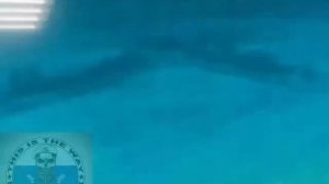 Судя по сообщениям проукраинских источников, мини-контрнаступление ВСУ.mp4