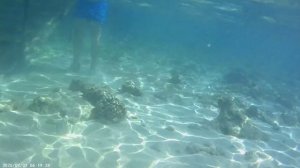 камера египет 25