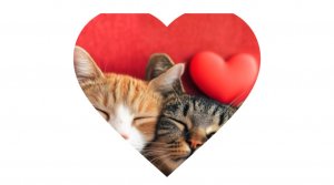 А моя чил зона