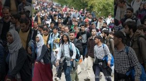 Зачем европейцев заменяют мигрантами