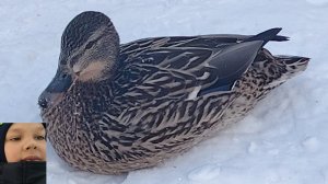 ЭТО ЕКАТЕРИНБУРГ!!!!!!!