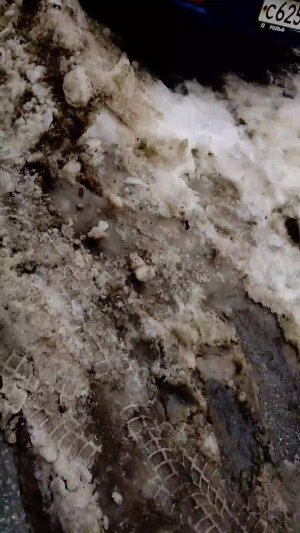 Мы с моей подругой Верой идём поздравлять её младшего брата