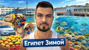 Египет Зимой. Отель Sharming INN Swees Heaven. Старый город и верблюд Серёга