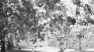 Прощай Зима.