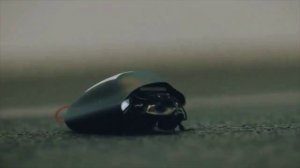 В Германии представлено новое поколение воееных биоэлектронных роев