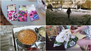 СУП С КОПЧЕНЫМИ КОЛБАСКАМИ | ПОСАДИЛА ПЕТУНИИ | ВЕСЬ ДЕНЬ В РАССАДЕ / БЕЗ ОБЕДА |ВЕЧЕРОМ В ГОСТИ