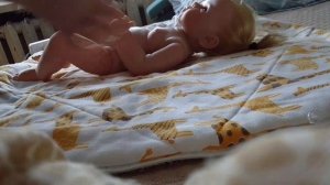 влог с Полиной не будет хотя бы 5 лайков уйду навсегда очнитесь