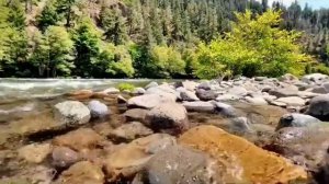 Правдивая Ольга. Самвел Адамян-после этих слов ты себя уничтожил.