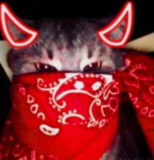 делаю пранки над сестррой