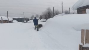 таскаем навоз у коровок 🐄