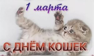 С ДНЁМ КОШЕК !!! 1  МАРТА - МЕЖДУНАРОДНЫЙ ДЕНЬ КОШЕК