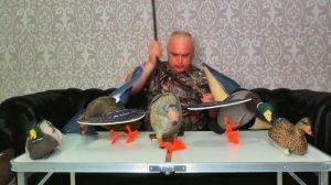 Обзор Бюджетных Махокрылов