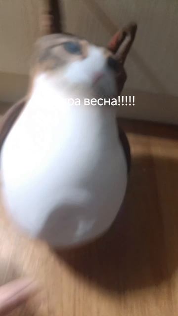 веснааааааа