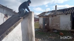 Мы стали оборотни и???