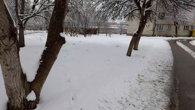 Раздумья под шагами. Прогулка. 28.02.2026