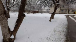 Раздумья под шагами. Прогулка. 28.02.2026