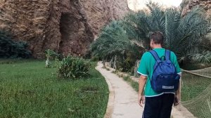 Крокодилов там нет!