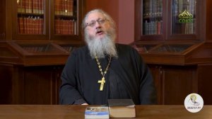 Христианский взгляд. Убийцы в школах׃ причины насилия. Иеромонах Нектарий (Соколов)