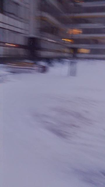 пятница в Ленинградской области