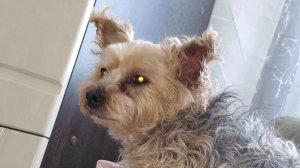 Я рисую девочку красотку