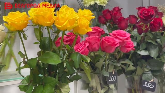 До весеннего праздника чуть больше недели, но белгородские цветочники уже готовы порадовать горожан смотреть онлайн
