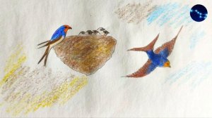 Ласточка / К. Ушинский / Рассказ ДЕТЯМ