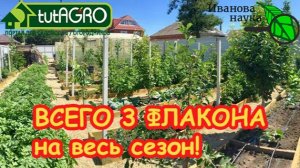 Забудьте про горы химии! Мой ЗОЛОТОЙ СПИСОК. Аптечка садовода: всего 3 средства от посадки до урожая