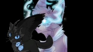 Реакция на Комету