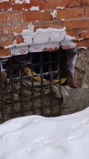 спасибо за помощь 🫶🫶🫶🫶