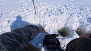 Зимняя рыбалка 27.02.2026