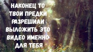 ТВОИ ПРЕДКИ РАЗРЕШИЛИ ИМЕННО ДЛЯ ТЕБЯ ЭТО ВИДЕО