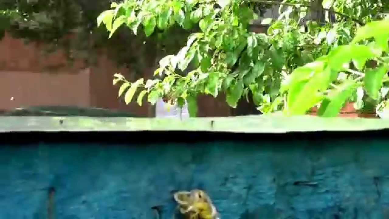 Дождь под солнцем