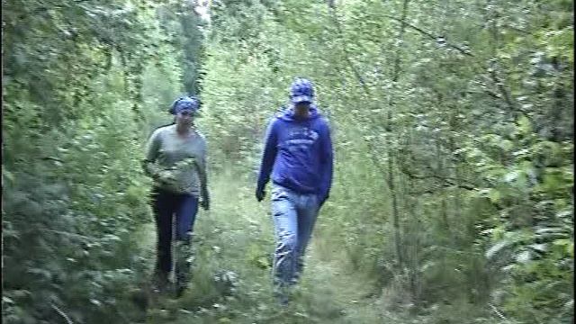 Грибы Рогатики. Малина. Дуб, дуб.