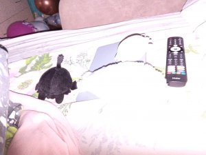 играем в viva project