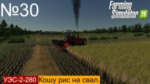 FS25 Полесье, кошу рис на свал. Ягодное ч30